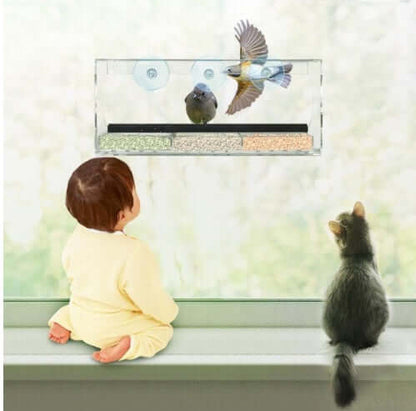 medium clear acrylic bird feeder