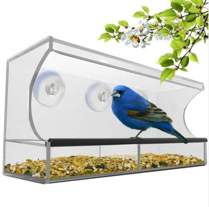 medium clear acrylic bird feeder